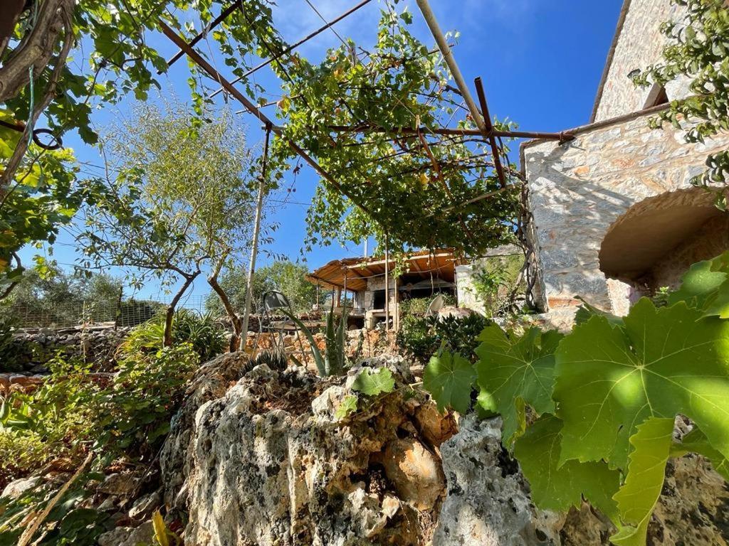 Find Your Peace In A Traditional Country House!! Láyia 외부 사진
